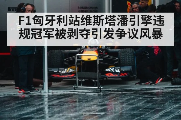 Red Bull racing pit stop