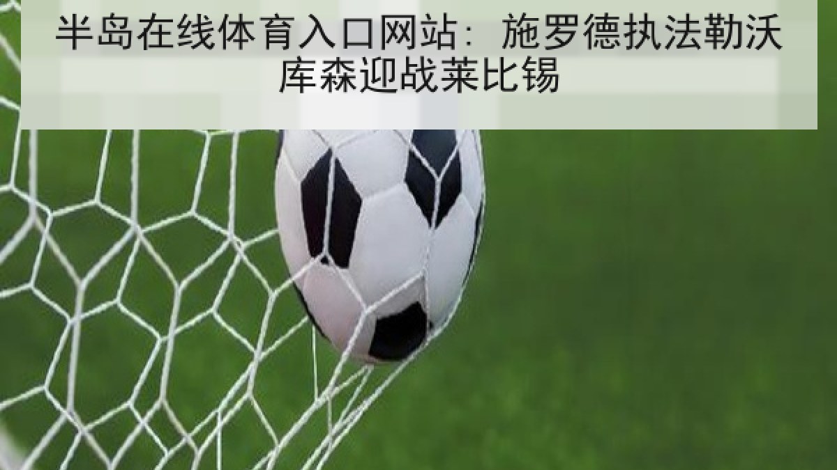 半岛在线体育入口网站: 施罗德执法勒沃库森迎战莱比锡